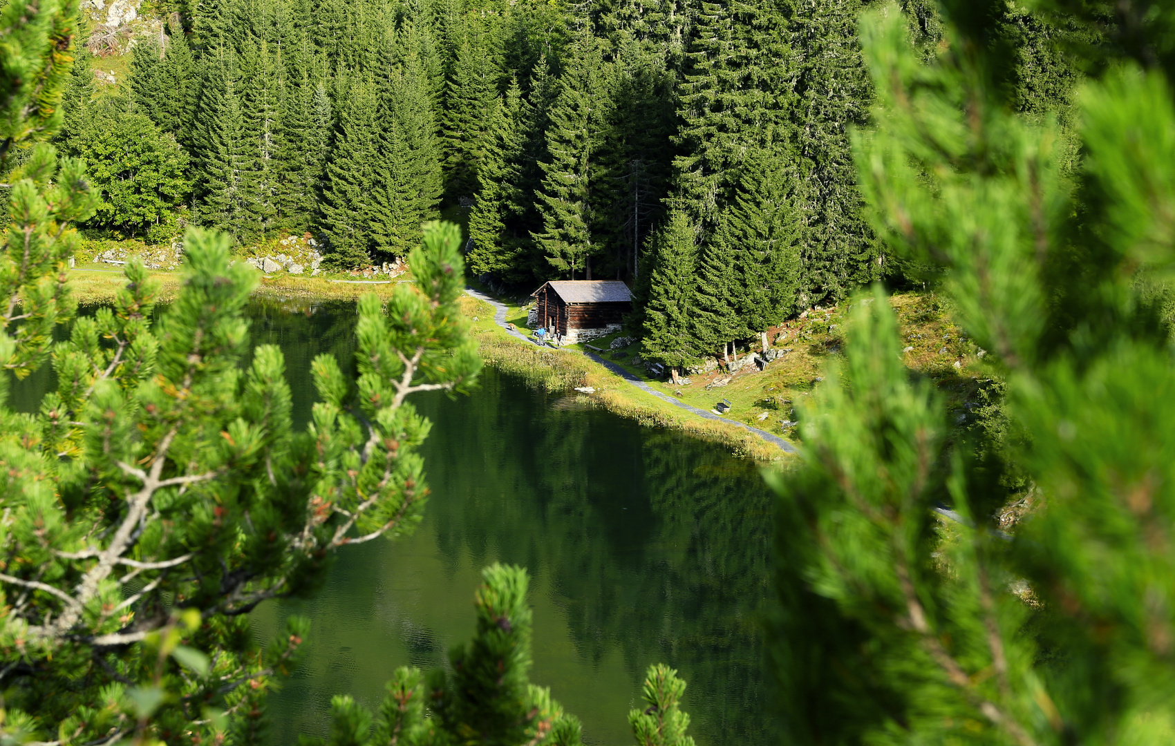 Golzernsee im Sommer