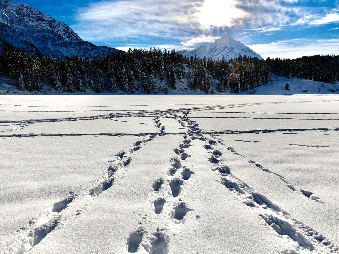 Golzernsee im Winter