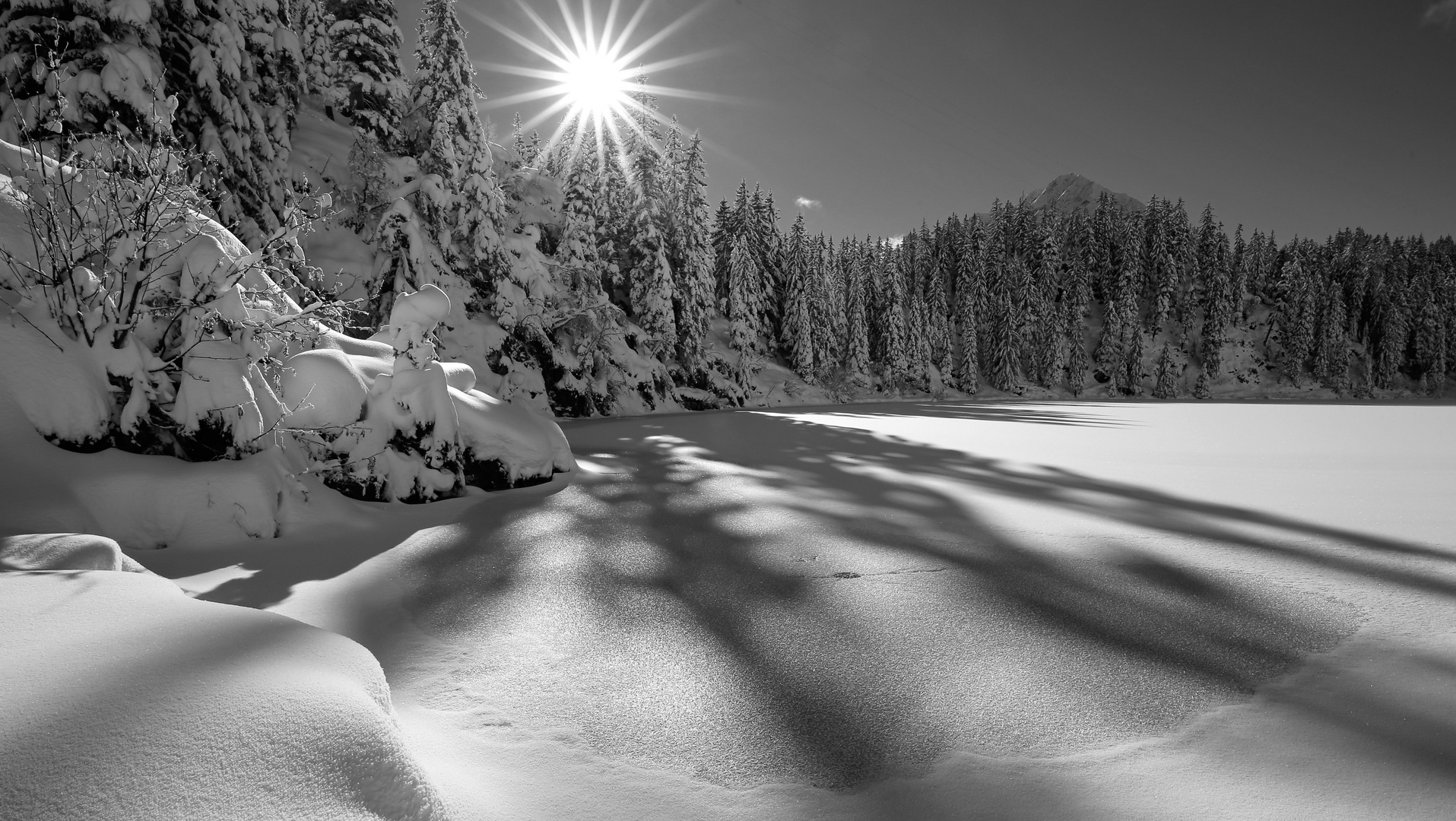 Golzernsee im Winter