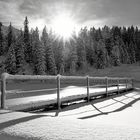 Golzernsee im Winter