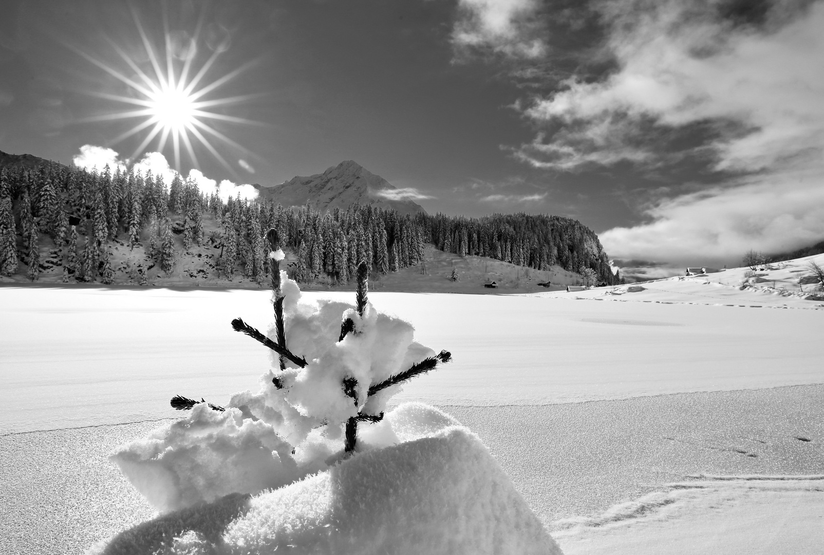 Golzernsee im  Winter