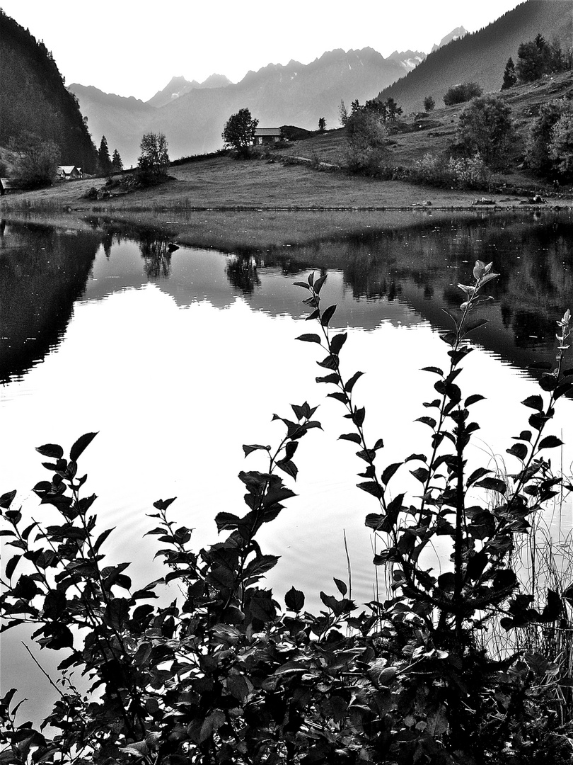 Golzernsee in Schwarzweiss