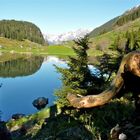 Golzernsee , Maderanertal ,im Frühling