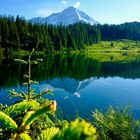 Golzernsee , Maderanertal uri