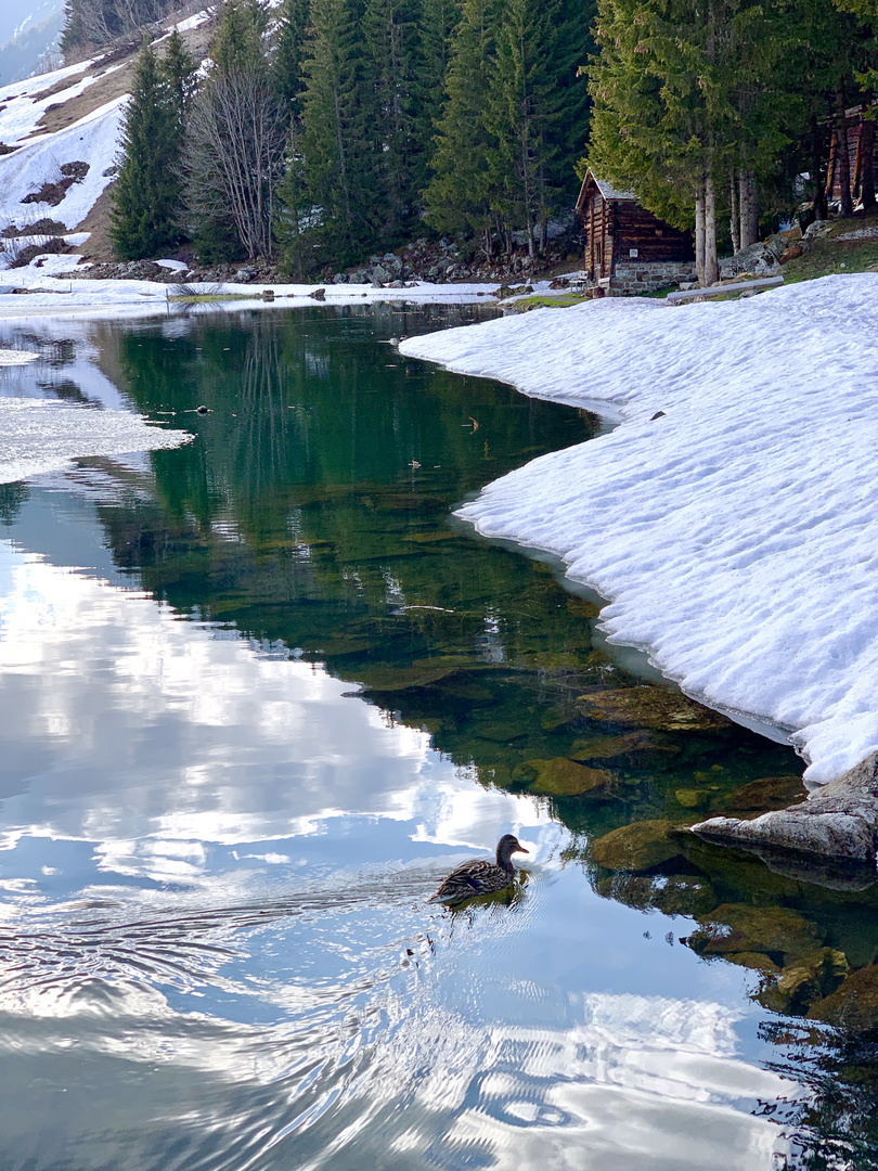 Golzernsee , Uri