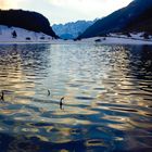 Golzernsee,Maderanertal