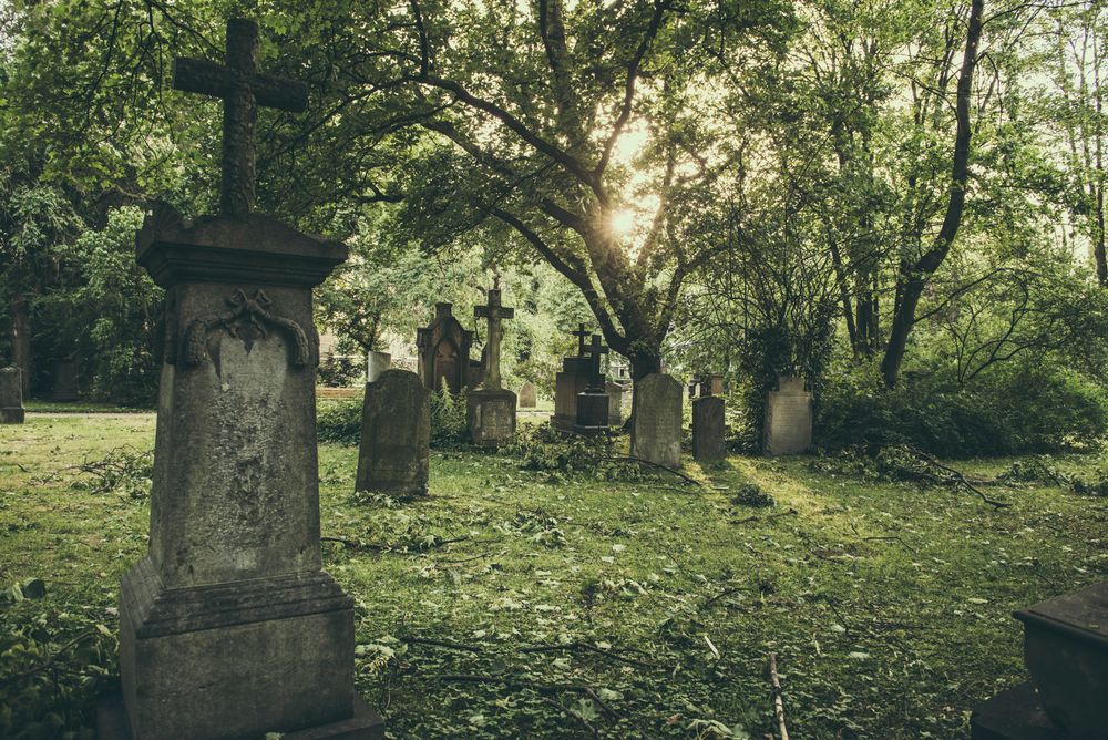 Golzheimer Friedhof. Einen Tag nach dem Sturm