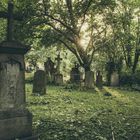 Golzheimer Friedhof. Einen Tag nach dem Sturm