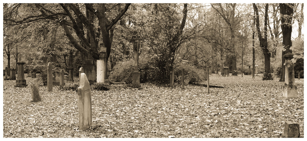 Golzheimer Friedhof im Herbst 1