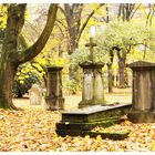 Golzheimer Friedhof im Herbst 2