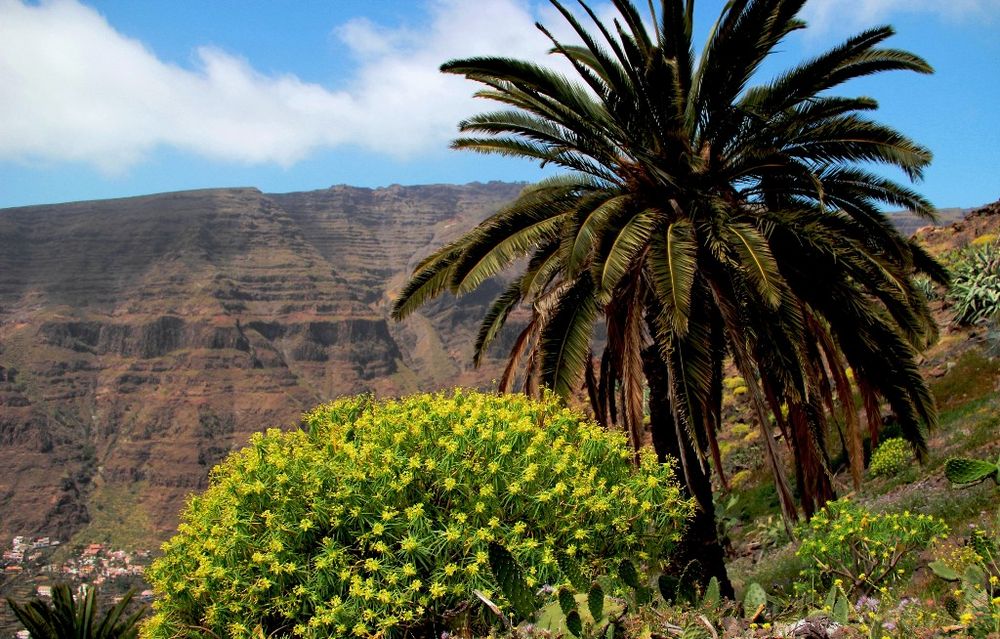 Gomera - 2. Blick ins Tal