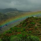 Gomera