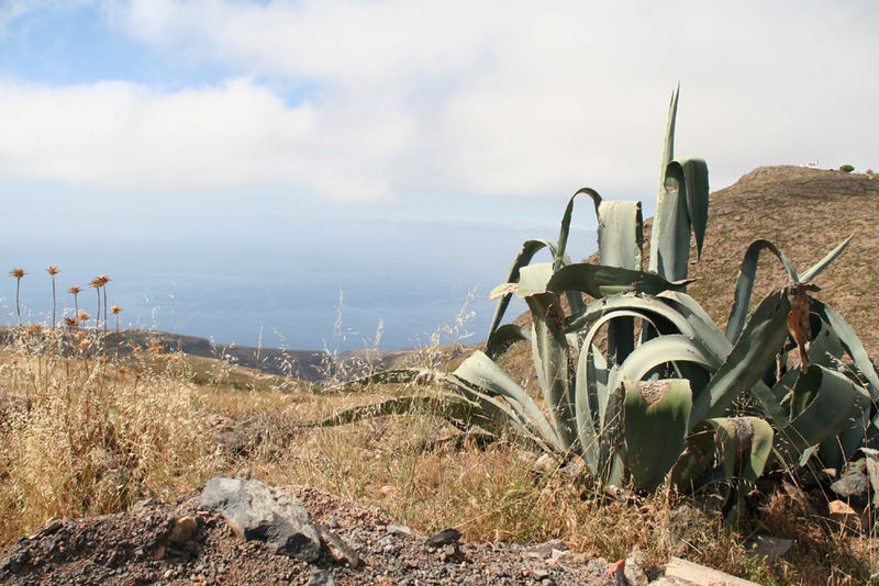 Gomera