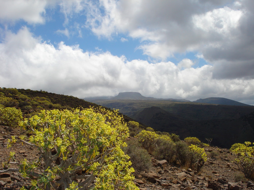 Gomera