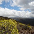 Gomera