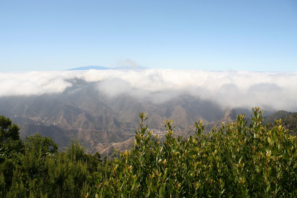 Gomera - Blick auf La Palma