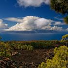 ...Gomera