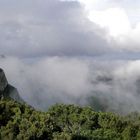 Gomera Februar 2006