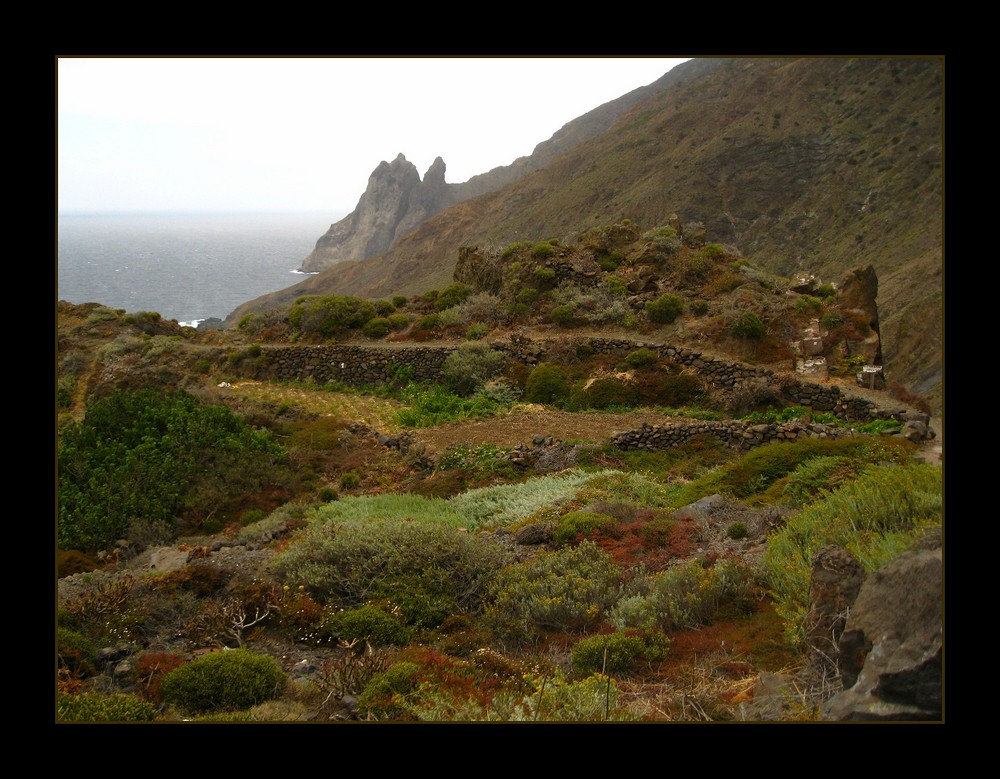 Gomera - im Norden