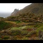 Gomera - im Norden