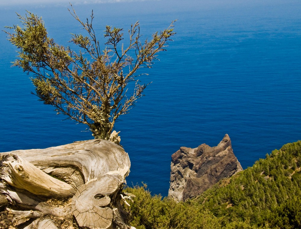 Gomera - Impression 3