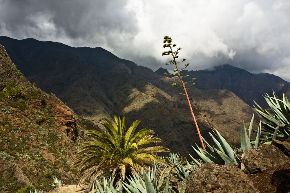 Gomera - Impression