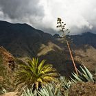 Gomera - Impression