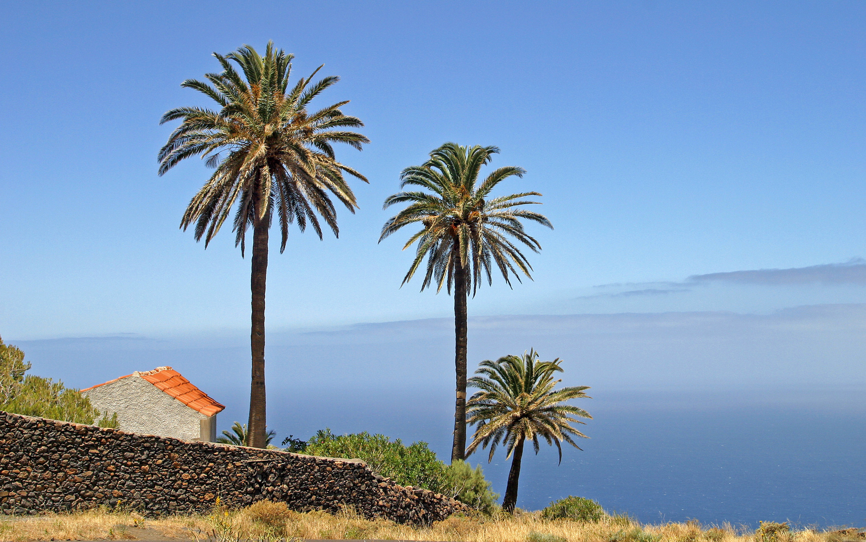 Gomera IV