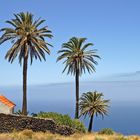 Gomera IV