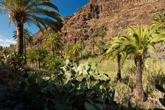 Gomera-November2017-007