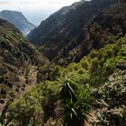 Gomera-November2017-008