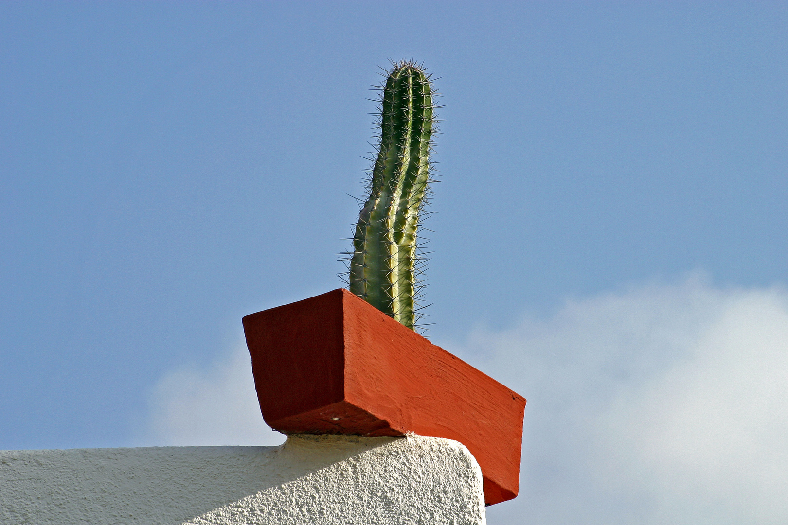 Gomera - "Prominente Stelle"