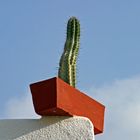 Gomera - "Prominente Stelle"