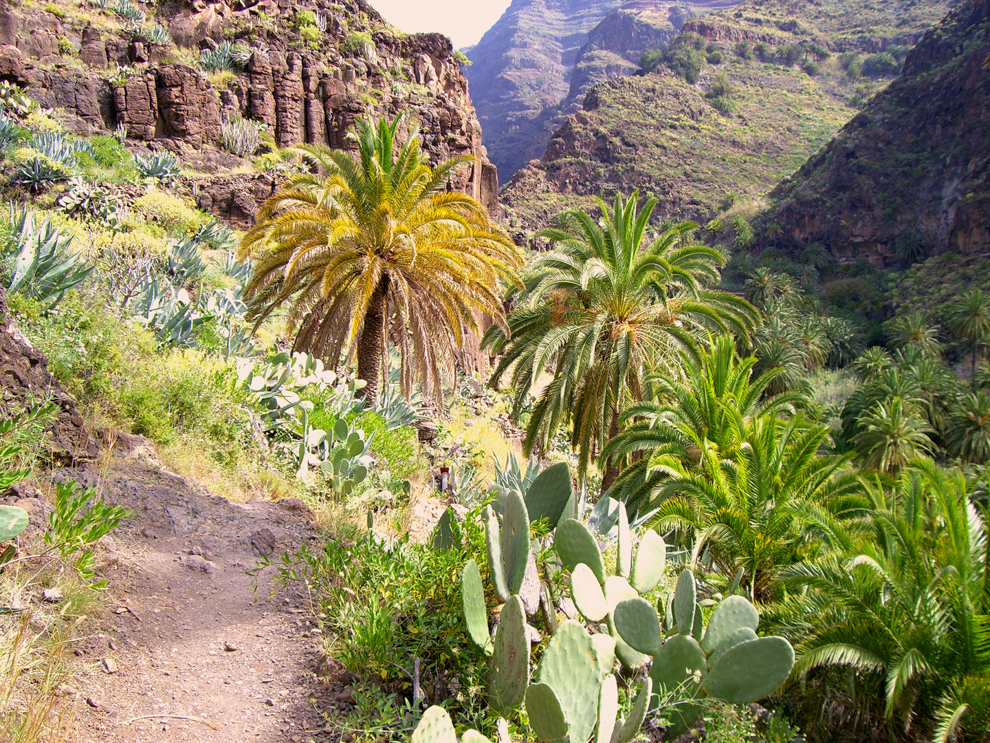 Gomera Traumlandschaft