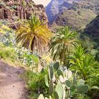 Gomera Traumlandschaft