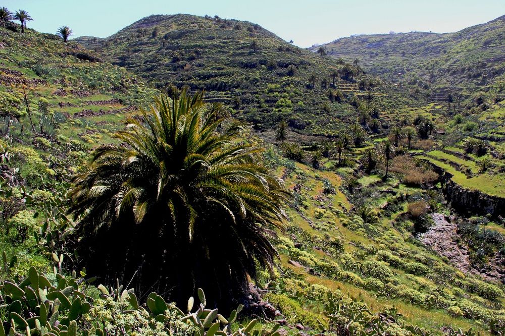 Gomera - Wanderung zu königlichen Tal