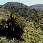 Gomera - Wanderung zu königlichen Tal