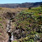 Gomera - Wanderung zum königlichen Tal