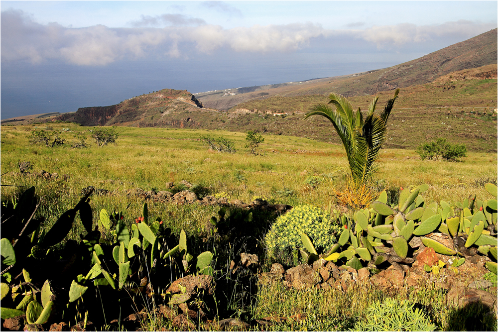 Gomeras Süden