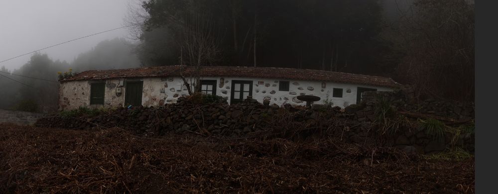 Gomerisches Haus mit El Hierro Distel auf dem Dach