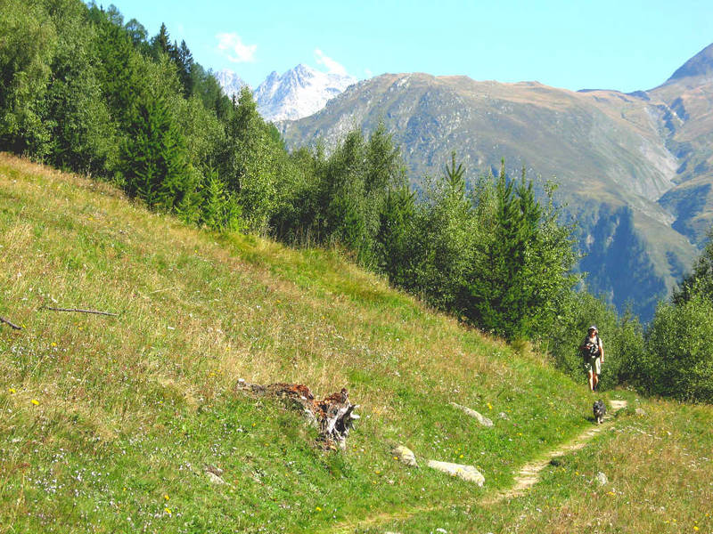 Gommer Höhenweg 3