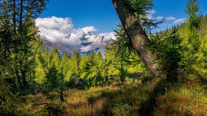 Goms, Vallis, Schweiz