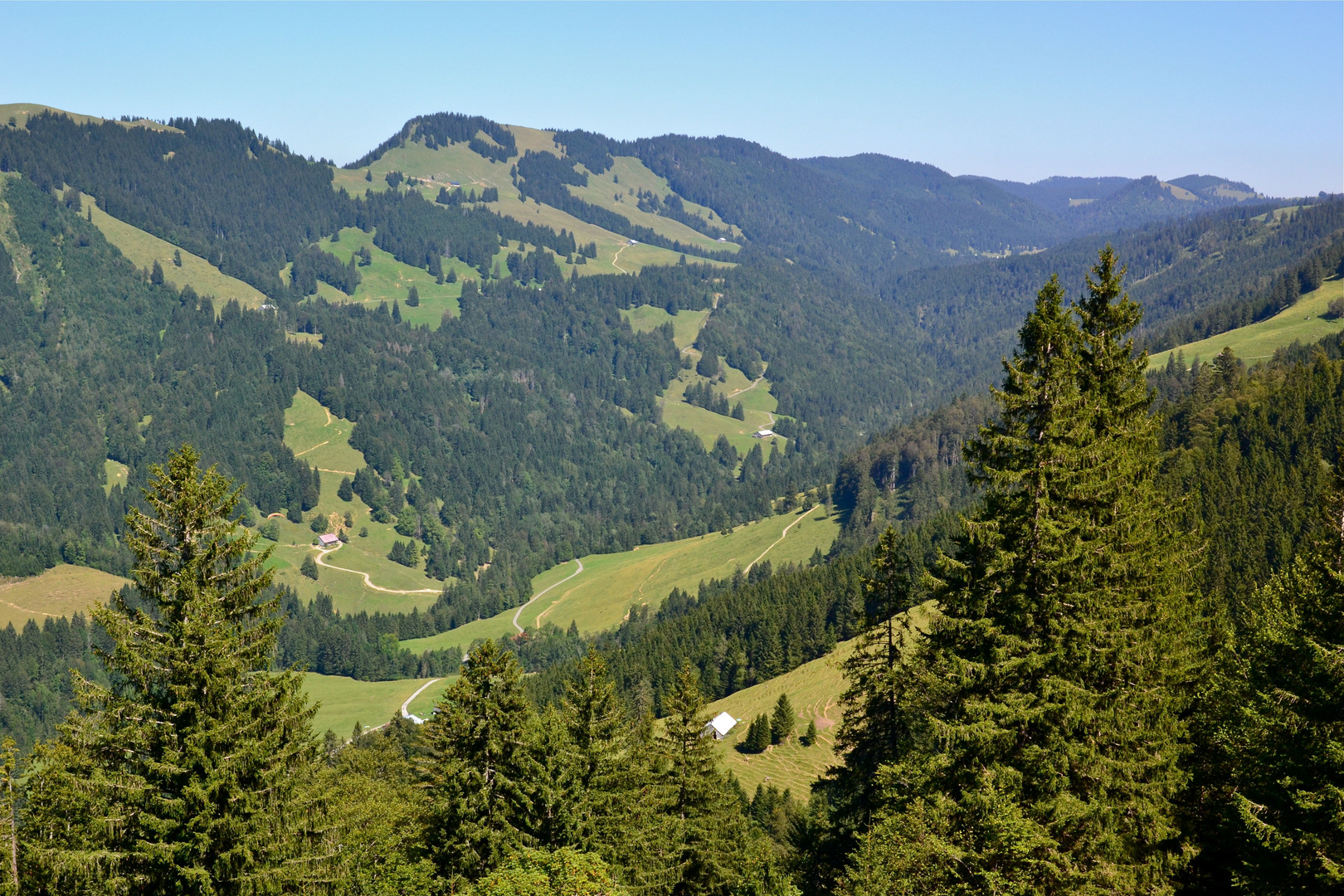 Gondelblick aus der Hochgratbahn…