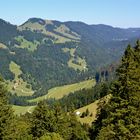 Gondelblick aus der Hochgratbahn…