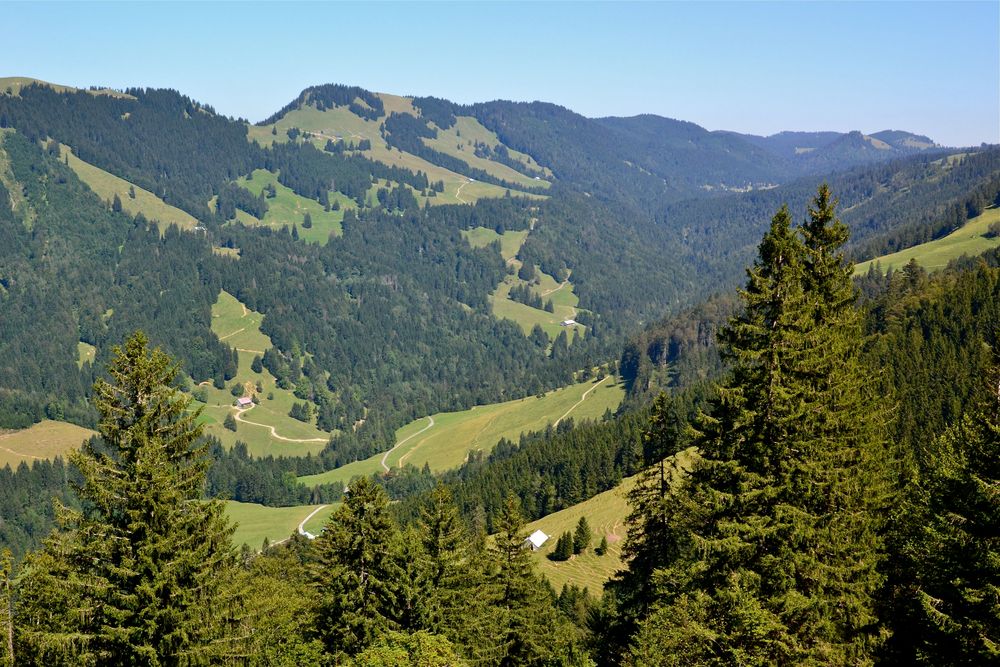 Gondelblick aus der Hochgratbahn…