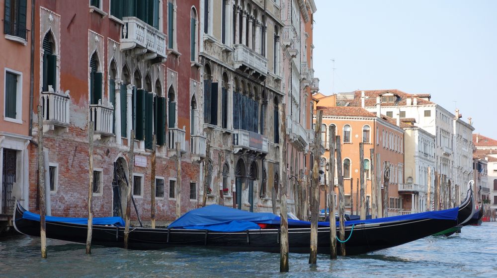 Gondeln auf dem Canale Grande