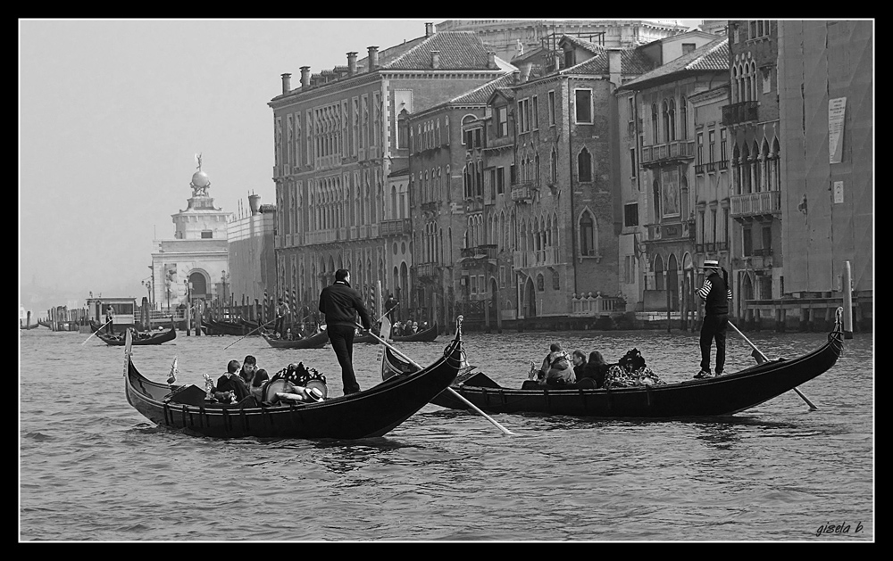 Gondeln auf dem Canale Grande