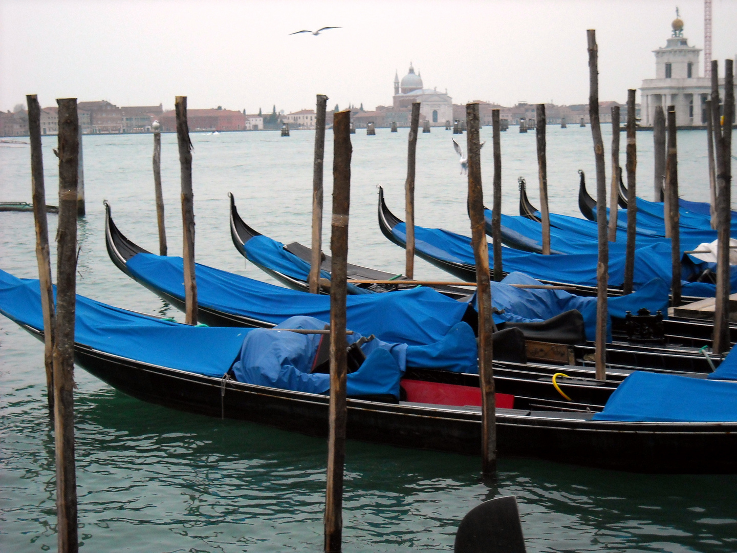 Gondole nel bacino di San Marco