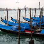 Gondole nel bacino di San Marco