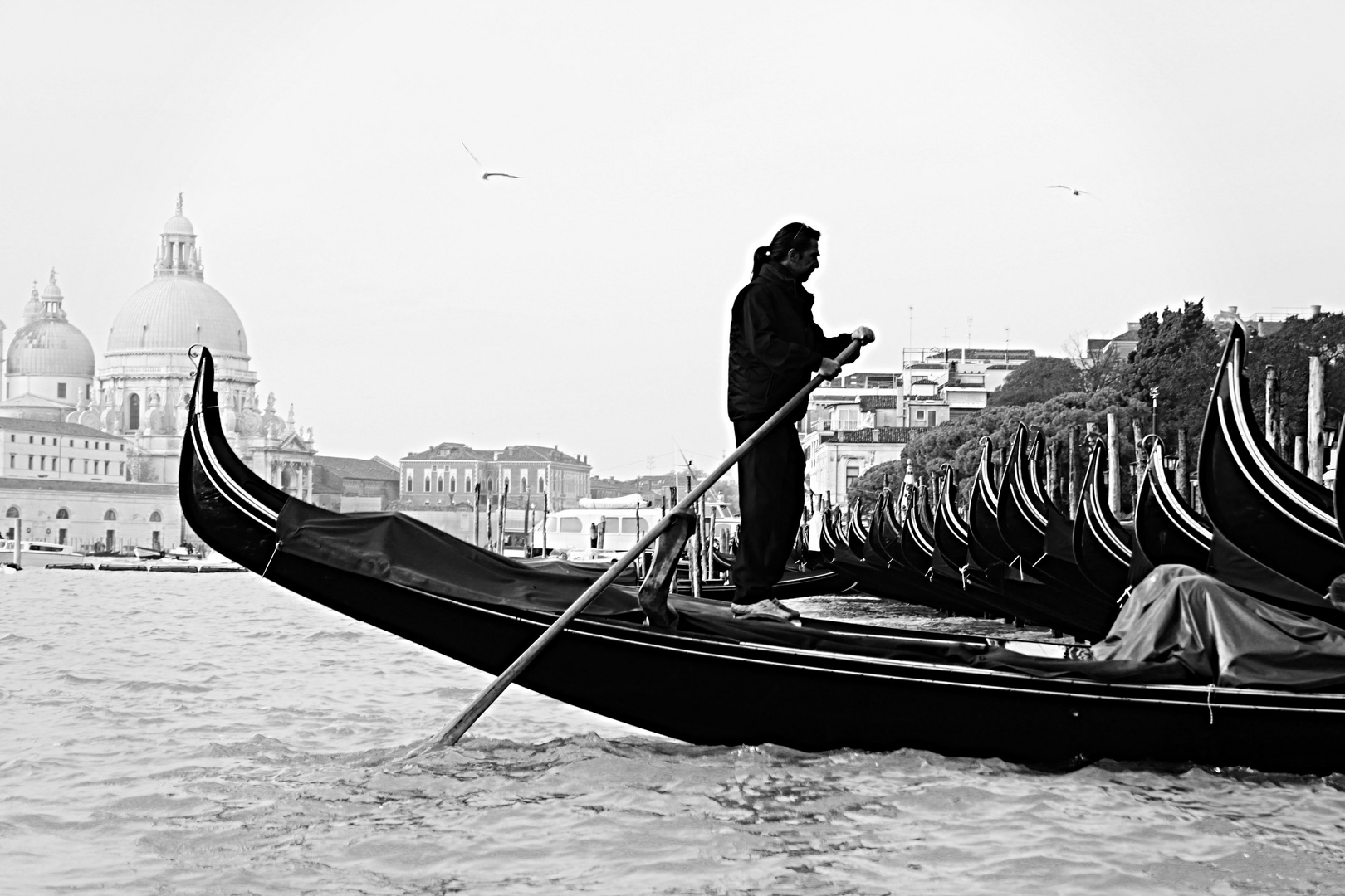 Gondoliere in Venedig